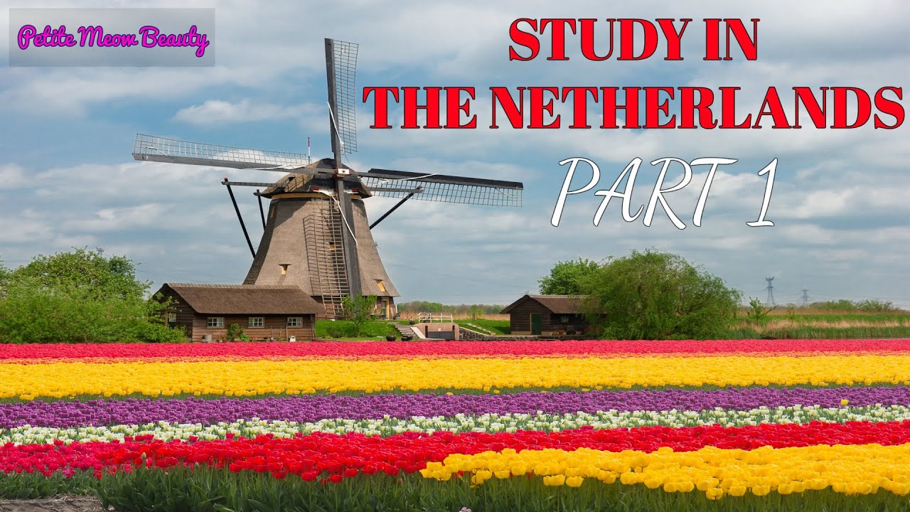 Du học Hà Lan | Phần 1 | Tại sao mình chọn du học tại Hà Lan?