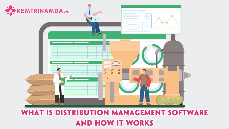 what-is-distribution-management-software-and-how-it-works-kemtrinamda